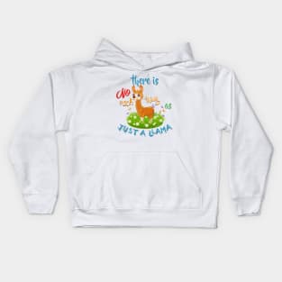 NO Such thing as JUST A LLAMA Kids Hoodie